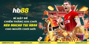 21 bi mat de chien thang khi choi keo macao tai hb88 cho nguoi choi moi 2