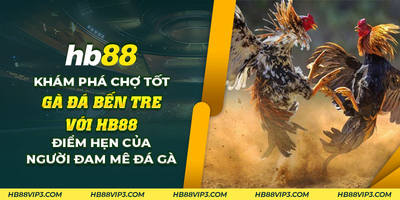 64 Kham pha cho tot ga da Ben Tre voi HB88 Diem hen cua nguoi dam me da ga