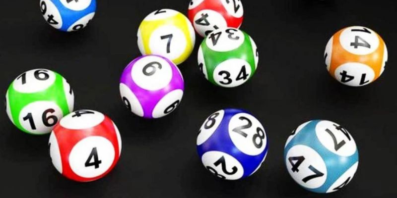 cach tao dan de 3 cang 2